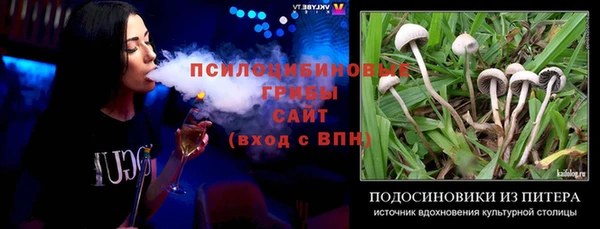 прущие грибы Новокубанск