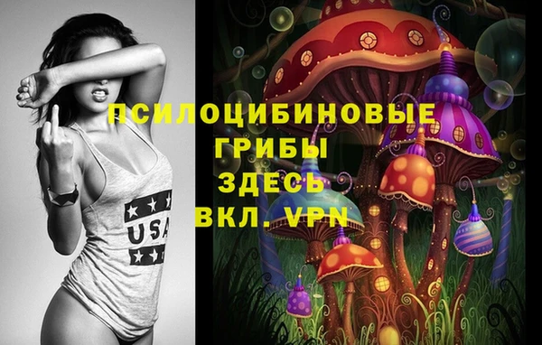 прущие грибы Новокубанск