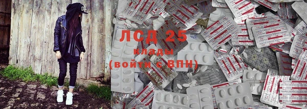 прущие грибы Новокубанск