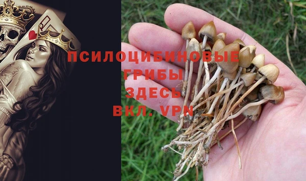 гидра Наволоки