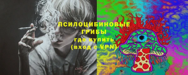 мескалин Надым