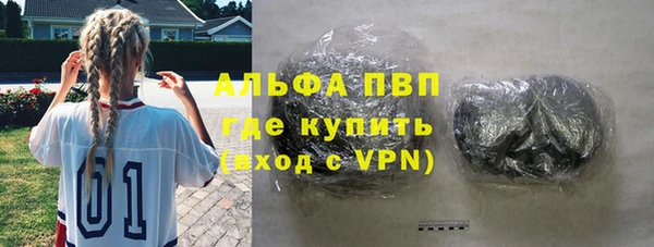 прущие грибы Новокубанск