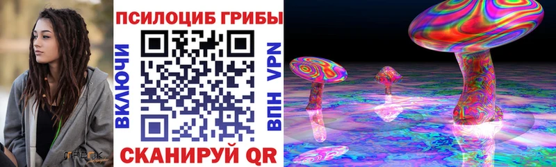 сколько стоит  Ишимбай  Галлюциногенные грибы Magic Shrooms 